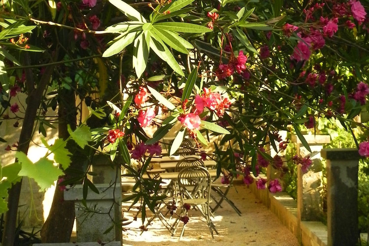 Palazzo Guglielmo 4*